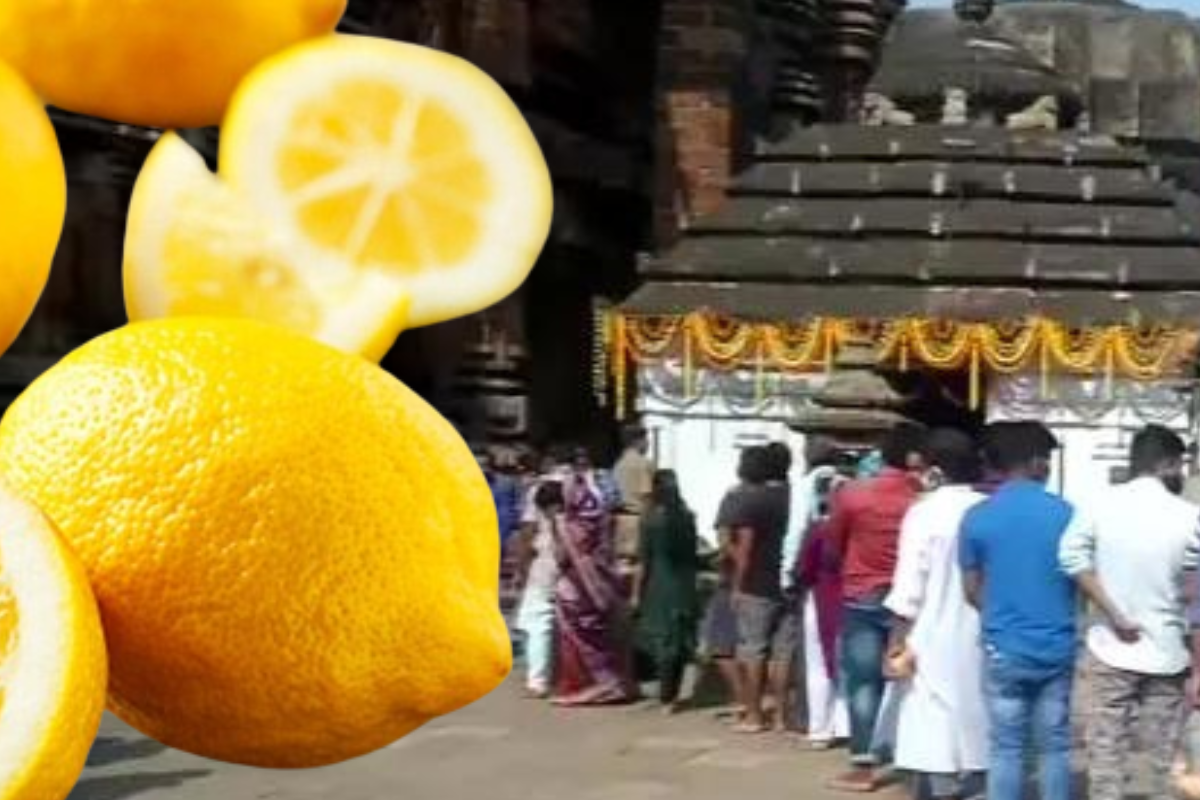 lemon_offered_to_lord_shiva_on_mahashivratri_auctioned_in_rs_35000_tamil_nadu_temple.png