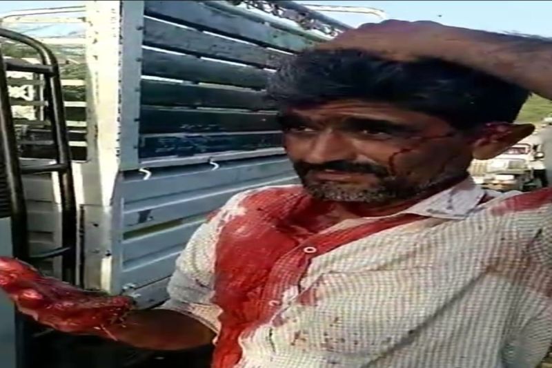 फिर आक्रामक हुई मादा भालू, महिला की मौत के बाद एक और युवक पर किया हमला