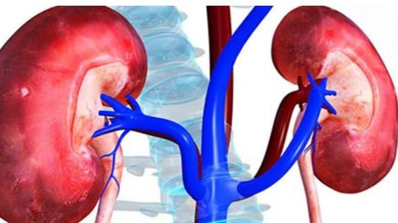 लापरवाही बढ़ा रही किडनी की बीमारी, अंगदान संकल्प में सीकर तीसरे स्थान पर