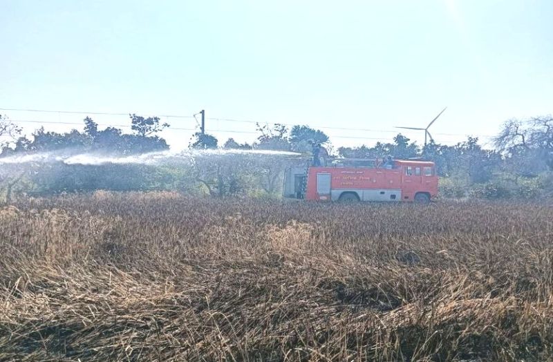 #Ratlam खेत में लगी आग, जलने से गेहूं की फसल हुई खाक