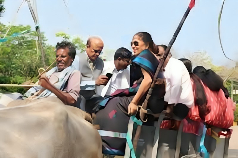 This picture has been taken from social media