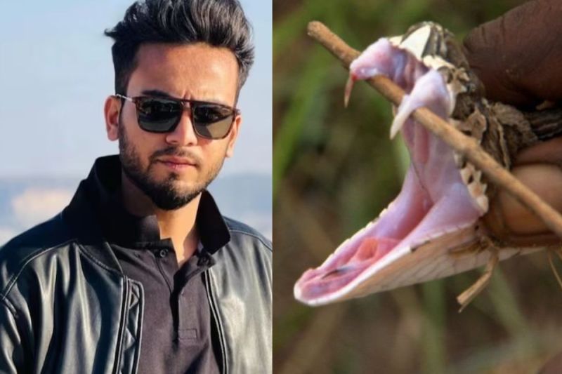 elvish_yadav_snake_venom_case.jpg