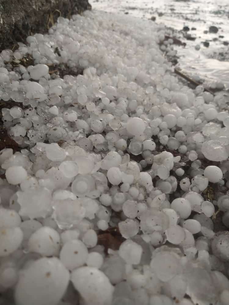 ओलावृष्टि, 150 गांवों में 30 से 50 फीसदी तक नुकसान