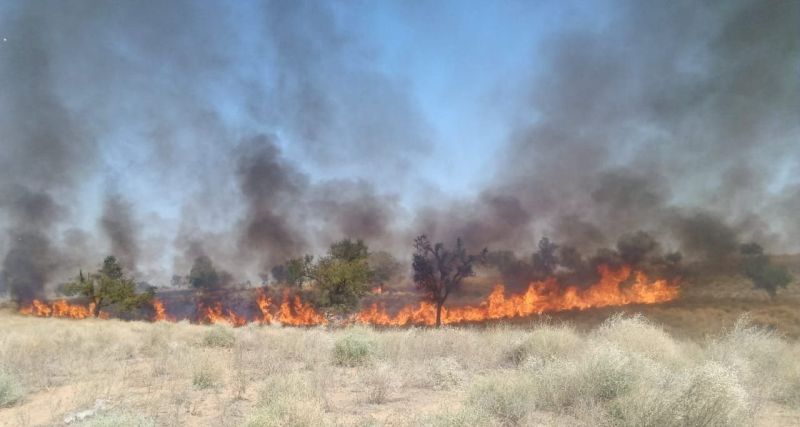 25 बीघा खेत में आग, ग्रामीणों ने बचाई 3 ढाणियां