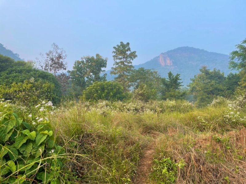 मालवाहक जहाज डूबने के मामले में खुलेगा राज