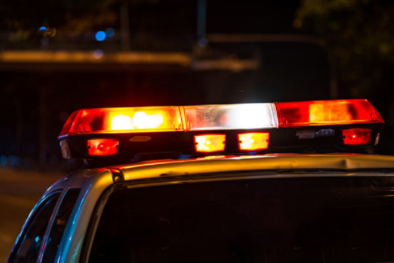 Loksabha Election 2024: कांचीपुरम में चुनावी उडऩदस्ते ने 10 किलो गहने जब्त किए