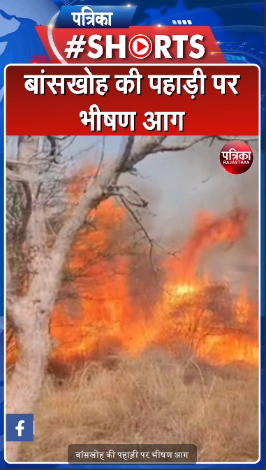 गर्मी का प्रकोप हो गया शुरू, राजस्थान की पहाड़ियों पर धधकने लगी आग