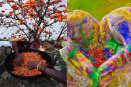 holi 2024: herbal colour