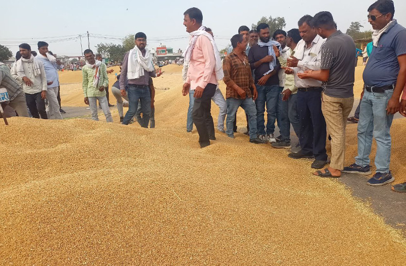 Wheat sold at record price of Rs 3201 in Baran mandi