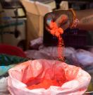 सब देखेंगे गेर के रंग, पर्दे में रहेगा राजबाड़ा