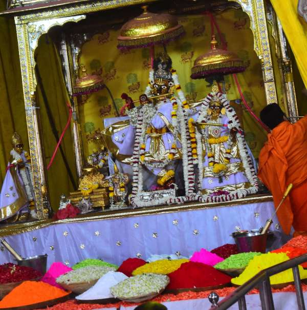 Devotees played Holi with Govinda