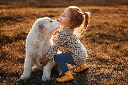 human-and--animal.jpg