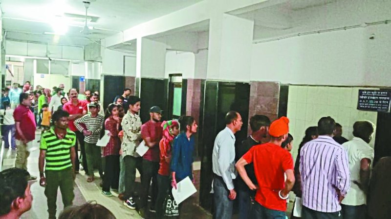 कुत्तों का आतंक: एक दिन में 205 मरीज पहुंचे जेपी अस्पताल, इनमें 40 फीसदी बच्चे