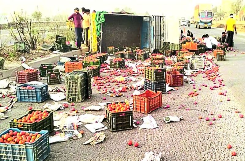 ट्रक पलटा, टमाटर बिखरे सडक़ पर