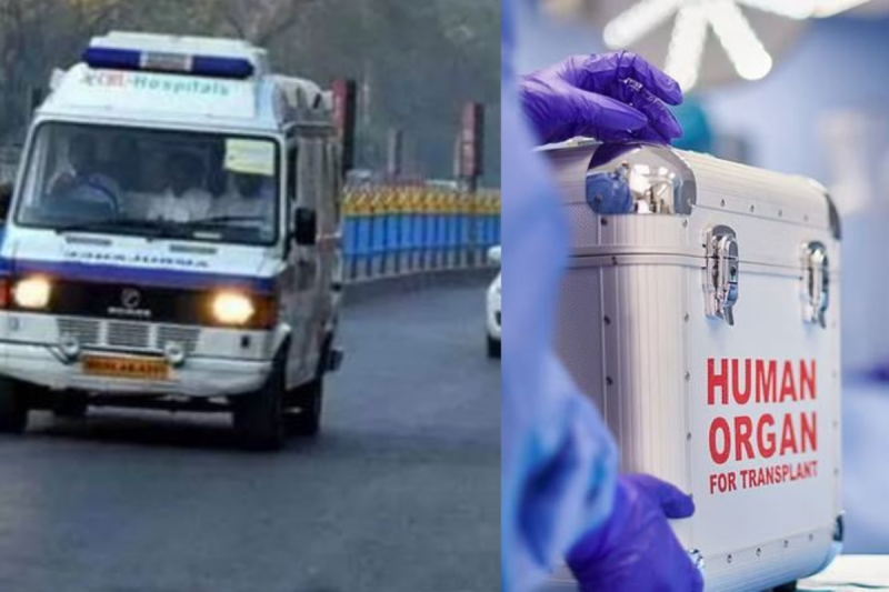 54th green corridor will bulit today in indore