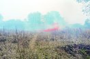 There is forest fire in many parts of Farsabahar area.