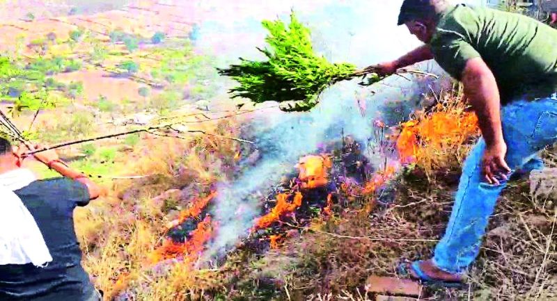 नांदनहेड़ी के पहाड़ में लगी आग... 400 से ज्यादा लोग बुझाने में जुटे