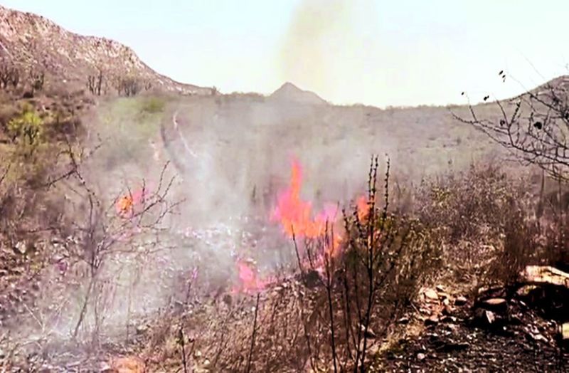 पहाड़ की चोटी पर लगी आग