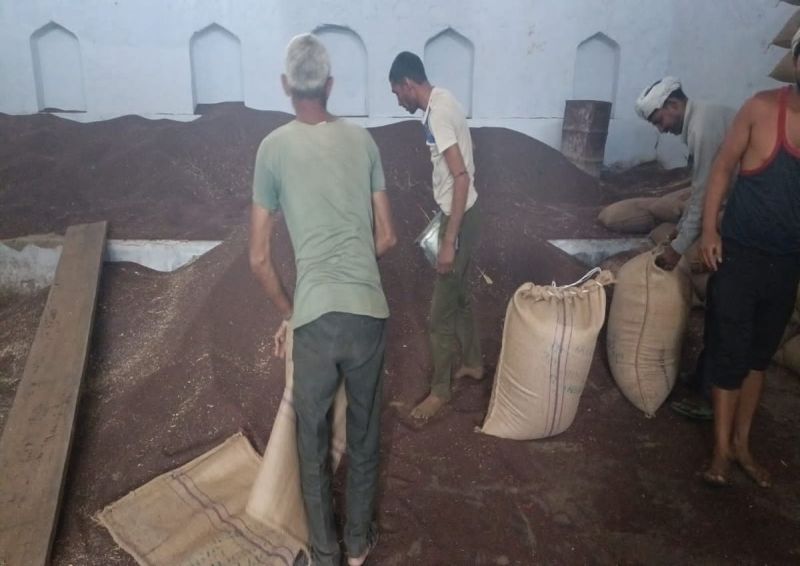 Laxity in government procurement, weighing of crops at Mandi and commission agents...read this news