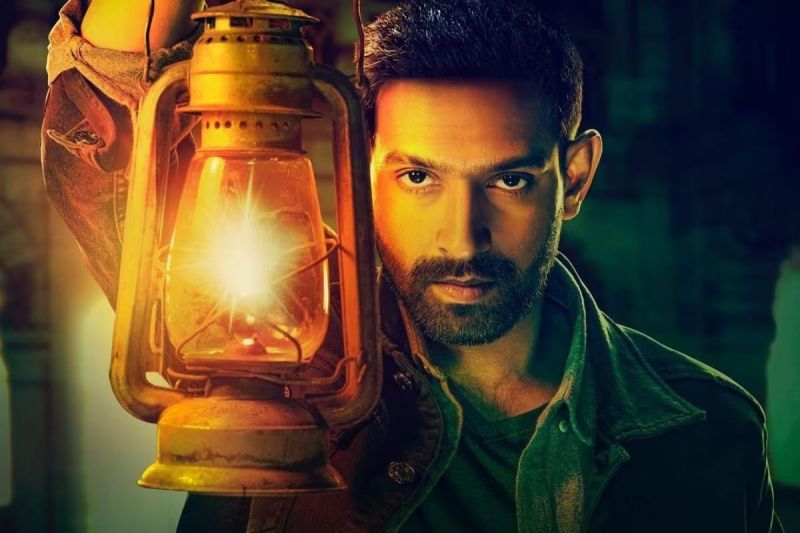 vikrant_massey_birthday