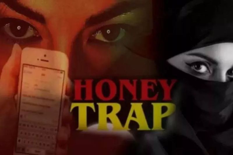 honey_trap_net.jpg