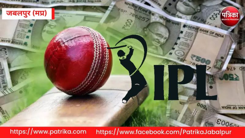 1xBet, dream11, My 11 Circle 