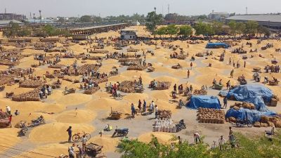 Short video poster image