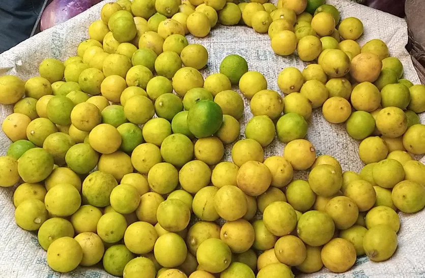 lemon price hike to rs 200 per kg in rajasthan
