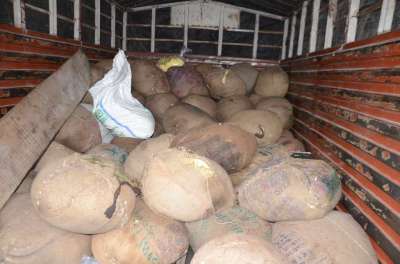 Short video poster image