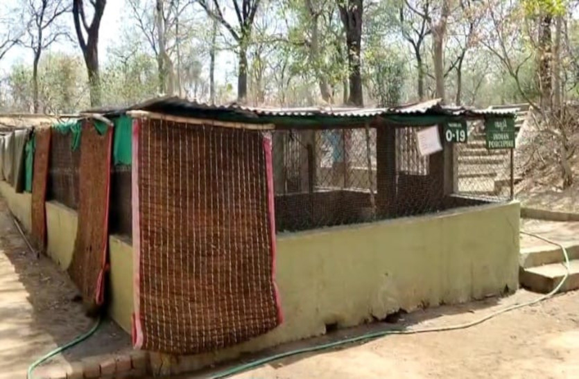 VIDEO: गर्मी से पशु-पक्षियों को बचाने को इन्द्रोडा पार्क में लगाए कूलर