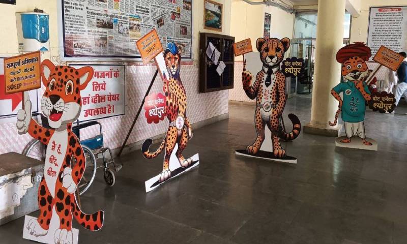 lok_sabha_elections_2024_chintu_cheetah.jpg
