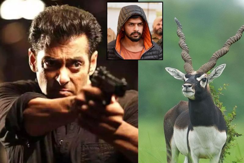salman khan black buck CASE Lawrence Bishnoi