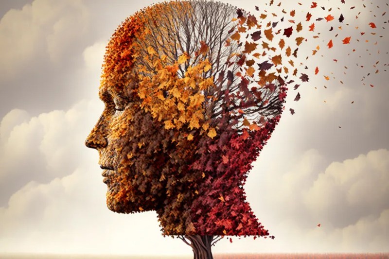 Air Pollution & Alzheimer's Disease Risk