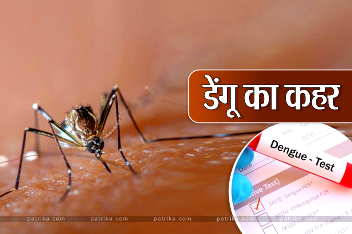 डेंगू और मलेरिया के केस पूरे साल, सीजनल नहीं रही बीमारियां