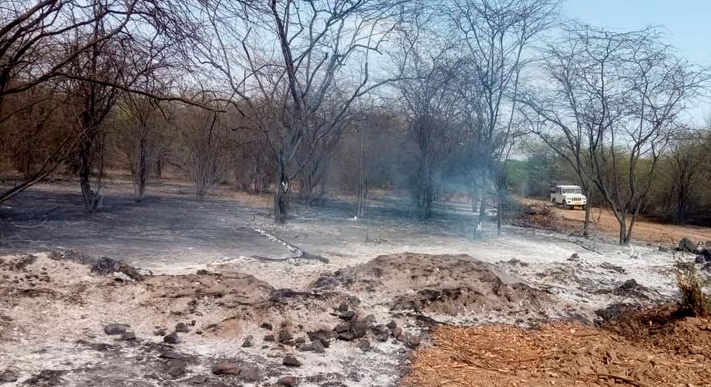 रामगढ़ टाइगर रिजर्व क्षेत्र में लगी आग, दमकल से पाया काबू