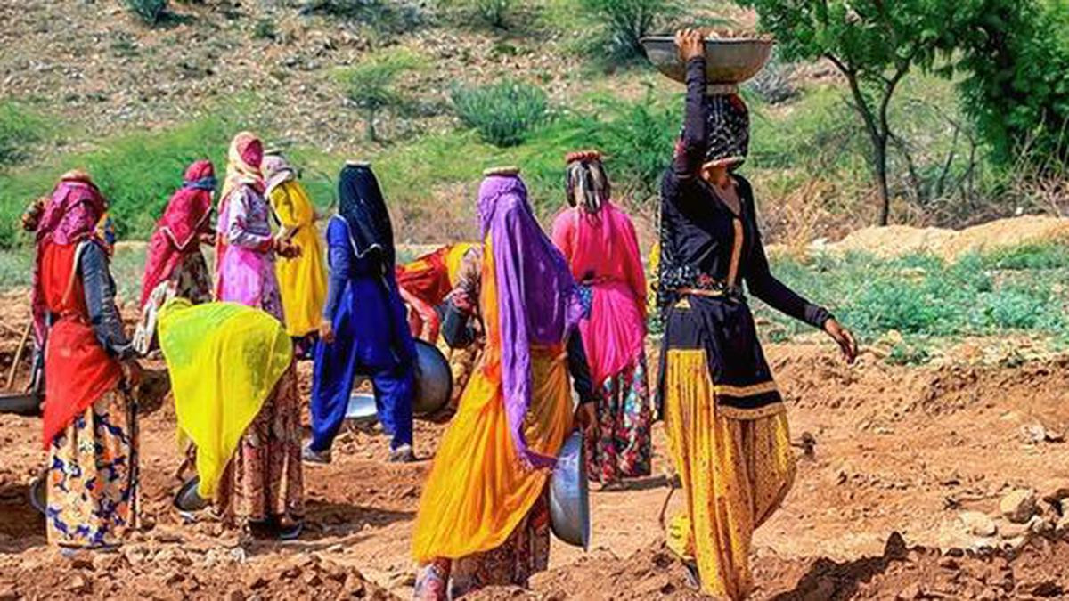 राजस्थान में 1 मई से बदल जाएगा मनरेगा श्रमिकों का समय, आदेश जारी - image