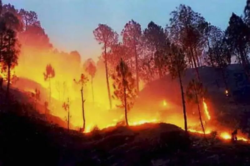 Nainital Forest Fire Air Force MI-17 helicopter and Army soldiers help