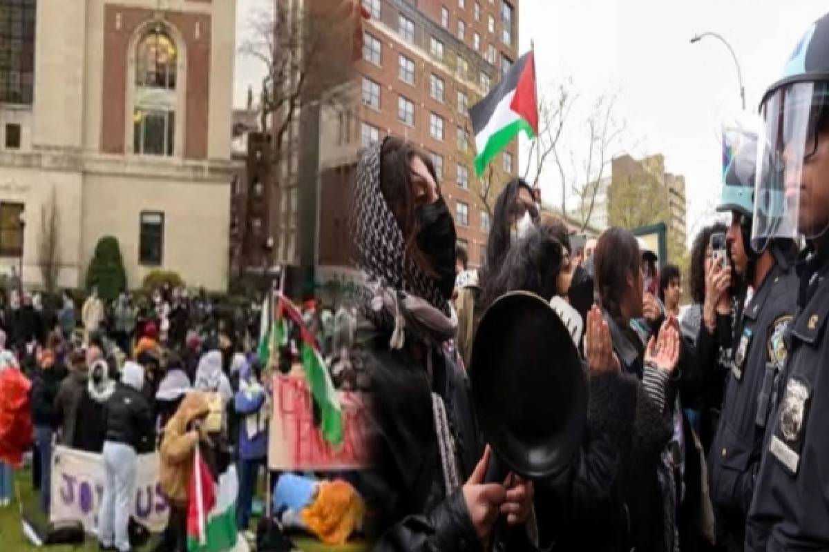 Palestine Support