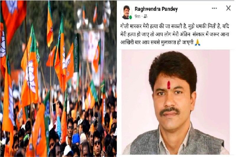 Congress party, Bjp party, politics news, lok sabha election 2024