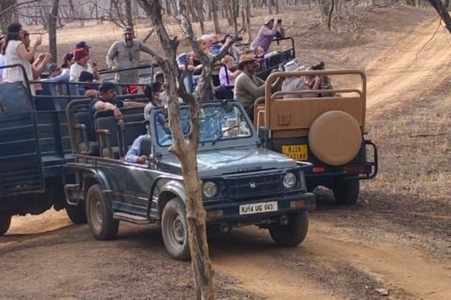 Ranthambore National Park