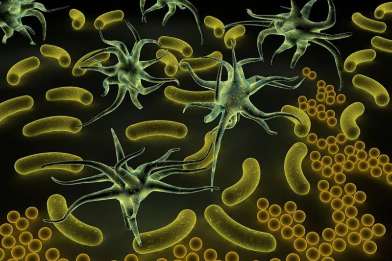 Unprecedented risk’ to life on Earth