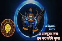 Shani Shasha Rajyog Form After 30 years
