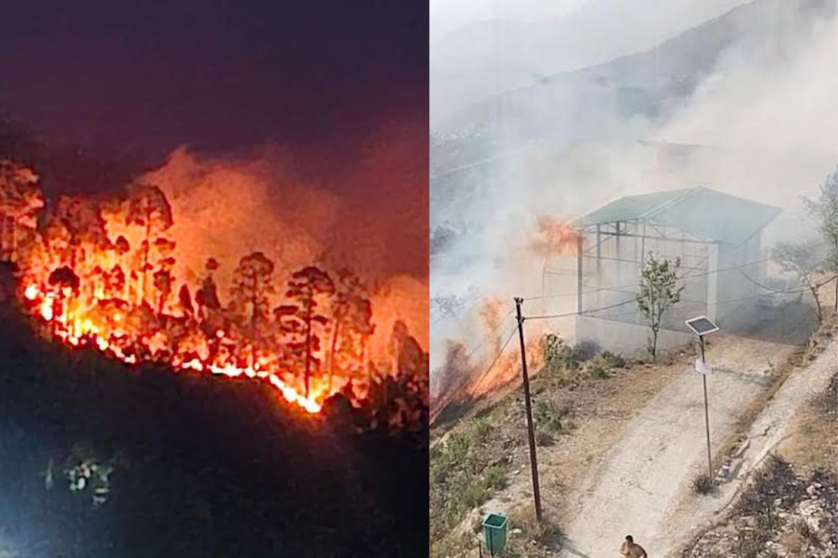 Forest fire: नासा का दावा,उत्तराखंड के जंगलों में तीन गुना बढ़ीं आग की घटनाएं - image