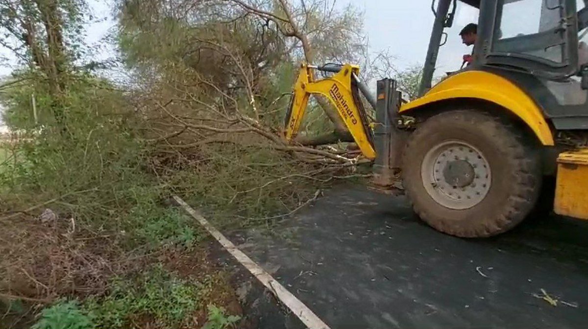 Video:पेड़ गिरने से आवागमन बंद, जेसीबी से हटाया