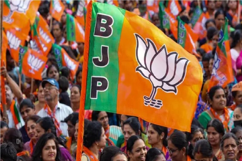 chhattisgarh BJP, Politics