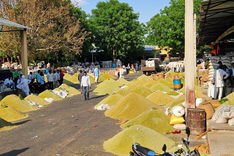 fennel price in rajasthan today