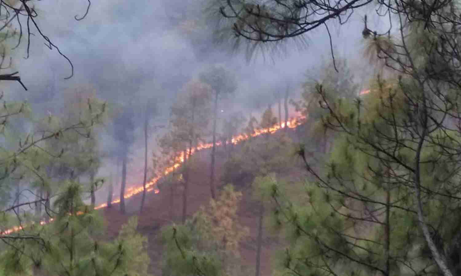 आपकी बात…जंगलों में आग की घटनाएं क्यों बढ़ रही हैं ? - image