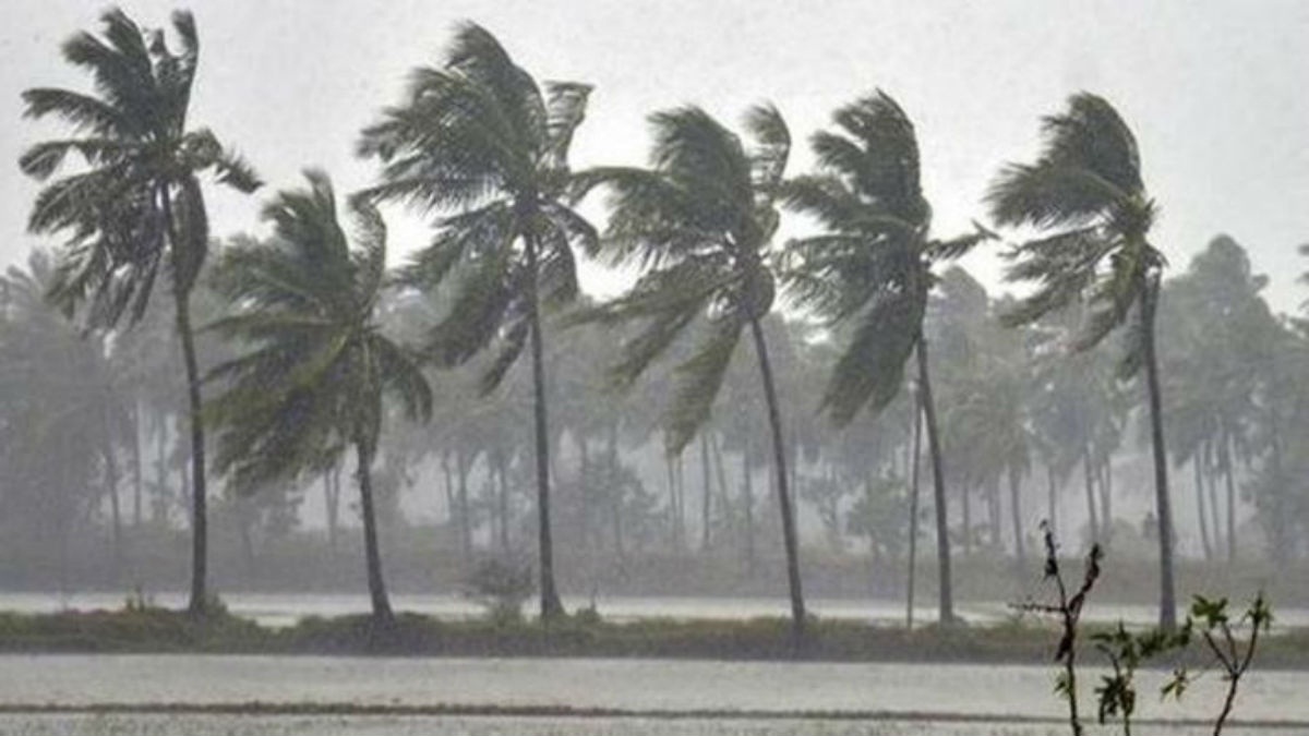 Weather Update: छत्तीसगढ़ में भयंकर बारिश के आसार… 6 जिलों में जमकर बरसेगा बादल,
Yellow Alert जारी