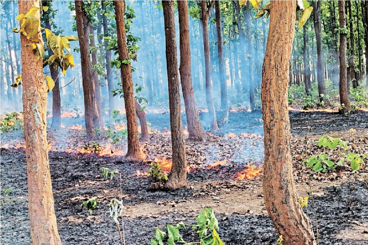 चारों ओर धुंआ ही धुंआ… भीषण आग से धधक उठा जंगल, आसपास के गांव में मची हड़कंप