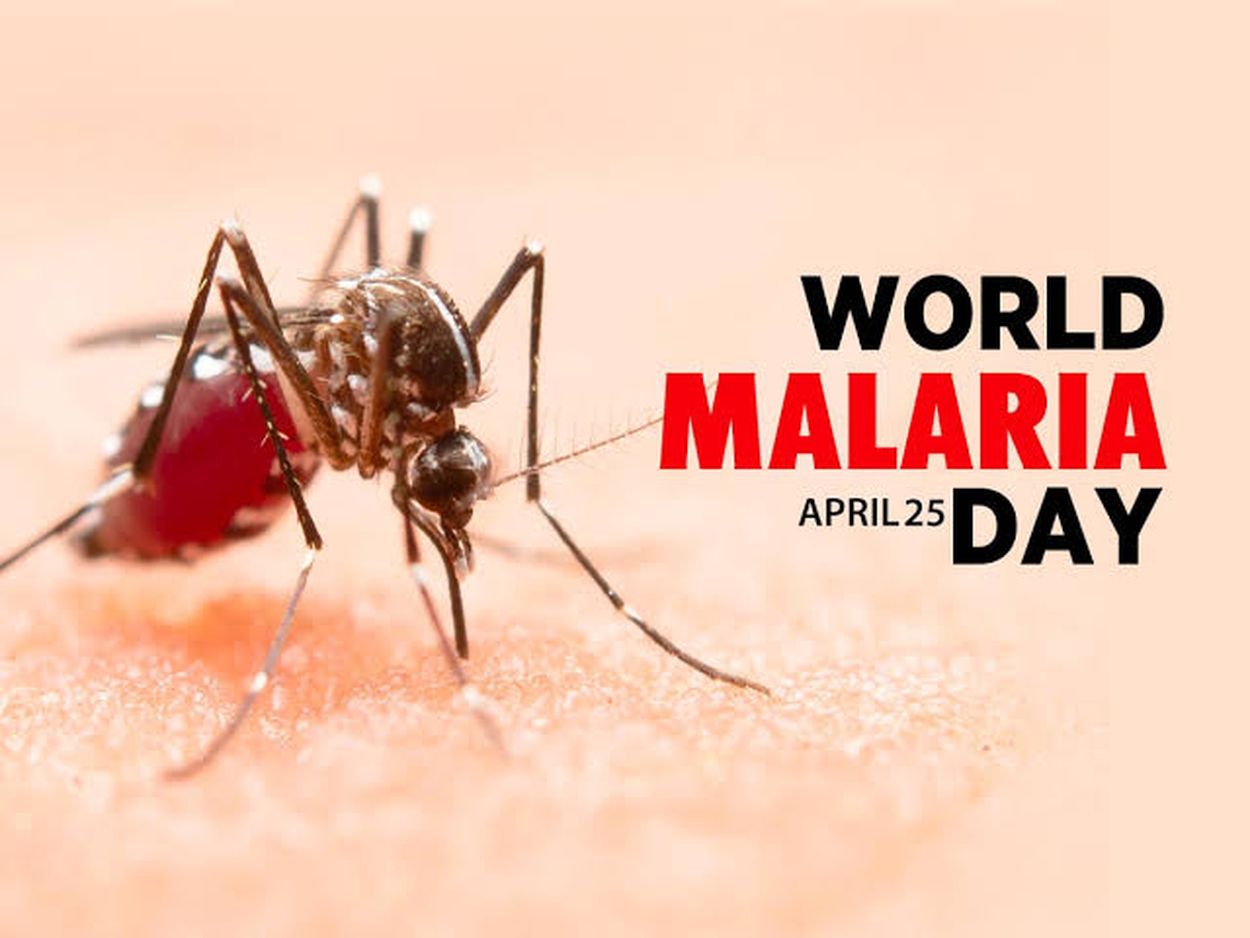 मलेरिया से मौतें चिंता का बड़ा कारण, निपटने के प्रयास तेज करना जरूरी